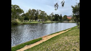 Elder Park King William Street