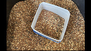 DIY Chicken Feed: Healthier and saves MONEY!!! No Chemicals Added!!