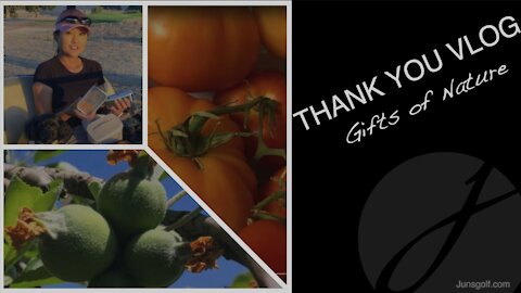 THANK YOU VLOG: Gifts of Nature