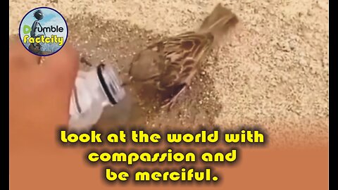 Look at the world with compassion and be merciful.