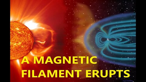 A MAGNETIC FILAMENT ERUPTS FROM THE SUN