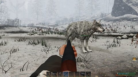 035 Sugar Man - Fun With Wolves At Wolf Station. Come and join us! > > > Subsistence