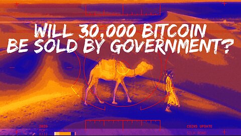 US Government Preparing to Sell 30,000 Silk Road Bitcoin, On-Chain Data Shows