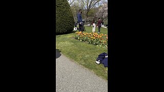 💐💥Boston Public Garden