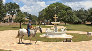 Casa Bella Estate Courtyard with Paso Fino Andalusian Horse