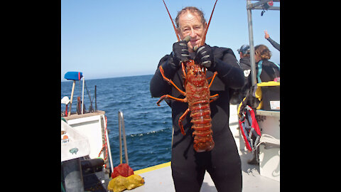 October 2021 California Spiny Lobster Diving Salt Water Revival Dive Club
