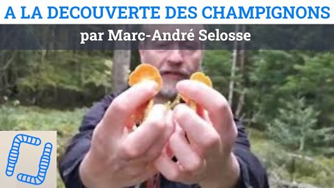 A la découverte des champignons en forêt, par Marc-André Selosse