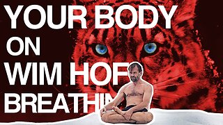 Control your Breath, Control your Body (Wim Hof Explained)