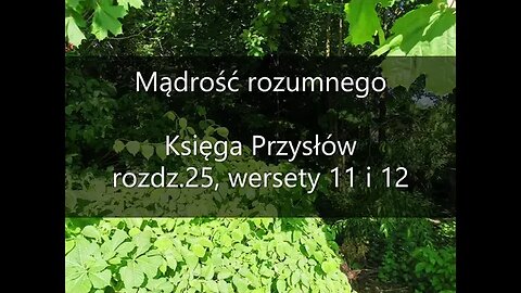 Mądrość rozumnego Księga Przysłów , rozdz.25, wersety 11 i 12