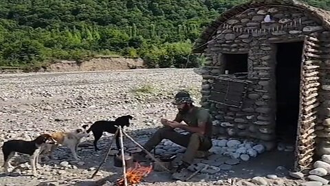 camping fishing dogs eating bushcraft camping survival videos