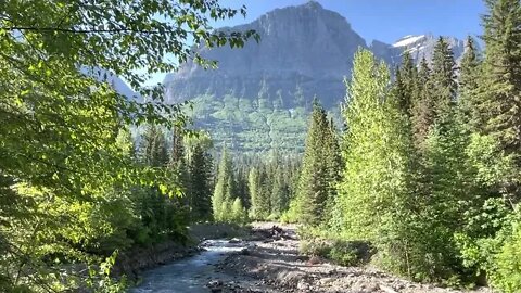 Glacier National Park River