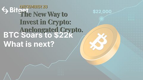 The New Way to Invest in Crypto: Anelongated Crypto.