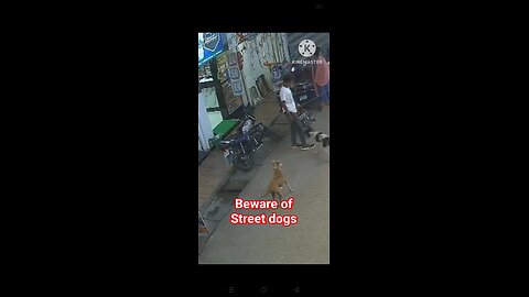 BEWARE OF STREET DOGS _streetdogs _dangerzone _unexpectedmoments