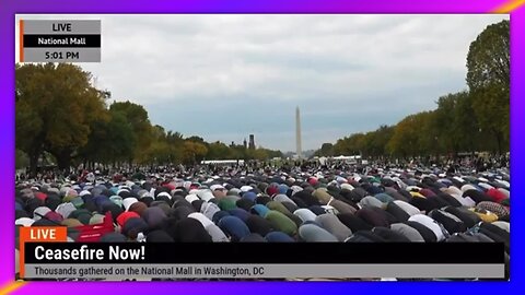 MASSIVE PRO-PALESTINE PROTEST AT NATIONAL MALL - WHAT HAPPENED TO AMERICA?