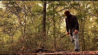 Building a Leaf Litter Shelter