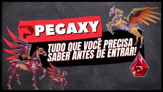 OS PROBLEMAS QUE O PEGAXY TERÁ QUE ENFRENTAR