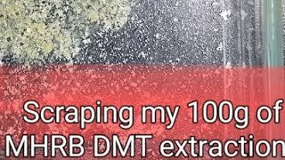 SCRAPING 100g MHRB EXTRACTION RESULTS! (DMT)