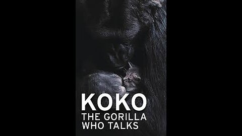 KOKO THE TALKING GORILLA TAUGHT TO SPEAK TO HUMANS USING SIGN LANGUAGE. THE EARTH IS NOT 4.5 BILLION YEARS OLD, THE EARTH IS NO MORE THAN 30,000 YEARS OLD…ESAU EDOM IS A LAIR!!🕎 Revelation 4:11 for thou hast created all things, and for thy pleasure