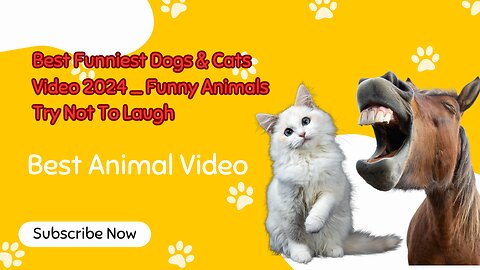 Best Funniest Dogs & Cats Video 2024_ Funny Animals Try Not To Laugh.mp4