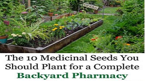 The 10 Medicinal Seeds You Should Plant for a Complete Backyard Pharmacy
