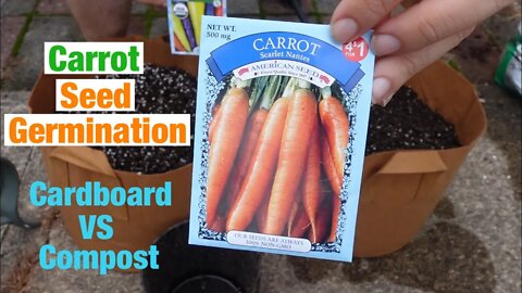 Cardboard vs Compost carrot seed germination