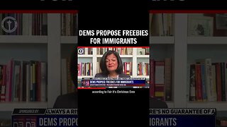 Dems Propose Freebies for Immigrants