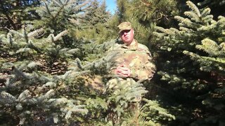 Mini Camouflage Tests: U.S. OCP Spring-Time in Northern Wisconsin