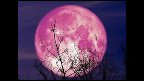 Breaking: "The Pink Moon" A Sign Of The Times