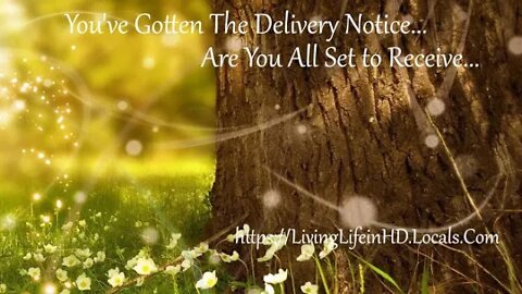 You've Gotten The Delivery Notice... are You all set to Receive?