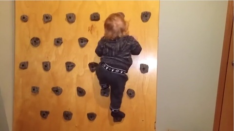 Baby scales homemade climbing wall with ease! Dad shows us how to build it