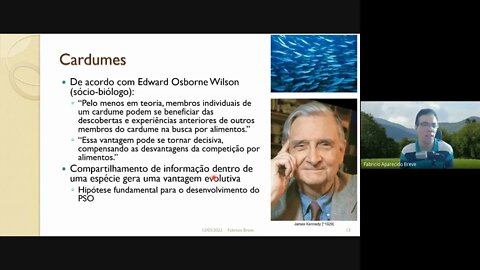 09 - Particle Swarm Optimization (PSO) - Computação Inspirada pela Natureza