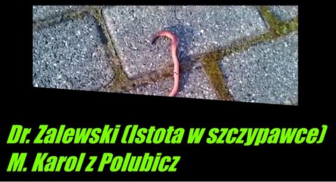 Dr. Zalewski (Istota w szczypawce)