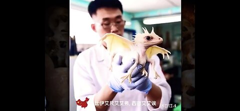 🚨CHINA BREEDING REAL LIFE DRAGONS🚨 ANCIENT DRAGON DNA 🚨REAL / ACTUAL / DRAGONS🚨 PROPHECY FULFILLED?🚨