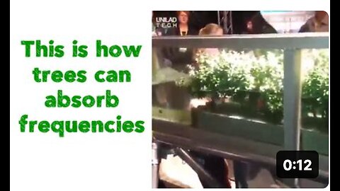 This is how trees can absorb frequencies