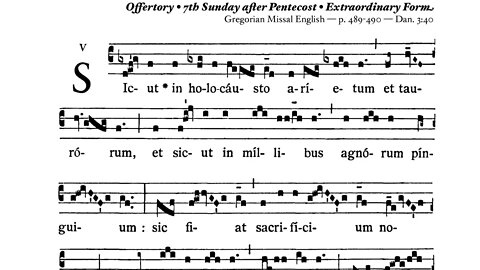 Sicut in holocaustis - Offertory 7th Sunday post Pentecost