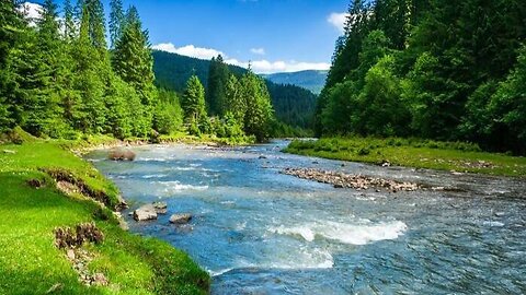 List Of Largest Rivers in The World in Different Countries|By ZIN RESEARCHERS.