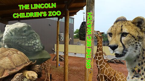 BEC Watch Entries: #27 Lincoln Children's Zoo