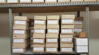 SOUTH AFRICA - Cape Town - Boxes of ashes at Salt River Forensic Pathology Services (Video) (gkE)