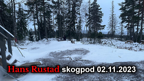 Skogpod 2. november 2023