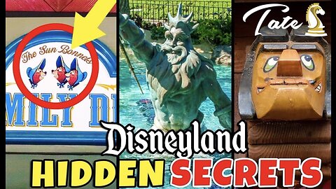 THE HIDDEN SECRETS OF DISNEY LAND | TATE CONFIDENTIAL EP. 66