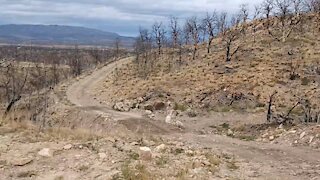 Planting trees to save the Mountains from erosion