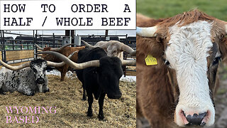 How to order bulk beef for the 1st time. 5 steps. Detailed video explanation. Buy local.