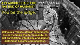 A Plausible Case For The End of Humans? You be the judge -- Calhoun’s “mouse utopia” experiments are now coming true for humanity as self-annihilation, infanticide and gender distortions become commonplace