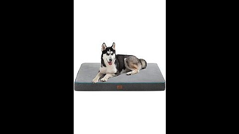 The Dog's Bed Cover for The Dog's Bed Orthopedic with Sides, Spare Replacement Cover (Small to...
