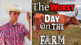 The (WORST!) Day On The Farm ~ 2022 (DROUGHT) ~ Cattle Crisis ~ Food Shortage