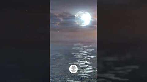 Moonlite Night Relaxing Sounds | Ponderation Sounds