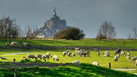 Credo IV - Chant Grégorien