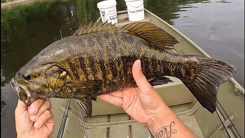 Trophy Smallmouth bass catch