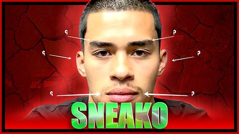 Face Reading: SNEAKO