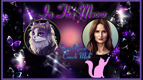 In The Meow | With Special Guest Coach Mel